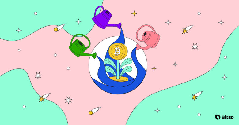 Imagem de planta com bitcoin no lugar das pétalas sendo regada