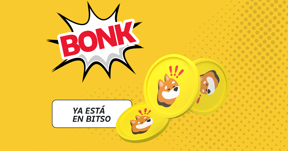 BONK BLOG SP