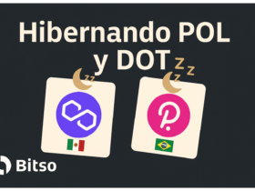 Hibernación de libros, libros de trading, POL, DOT